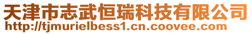 天津市志武恒瑞科技有限公司