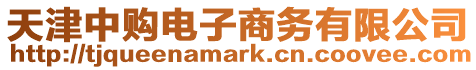 天津中購電子商務有限公司