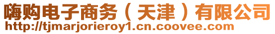 嗨購(gòu)電子商務(wù)（天津）有限公司