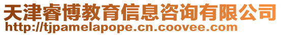 天津睿博教育信息咨詢有限公司