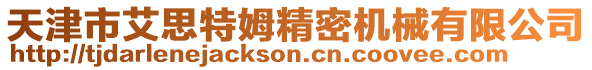 天津市艾思特姆精密機械有限公司