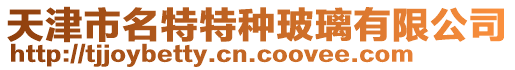 天津市名特特種玻璃有限公司