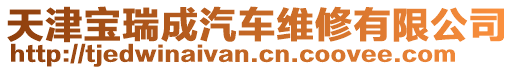 天津?qū)毴鸪善?chē)維修有限公司