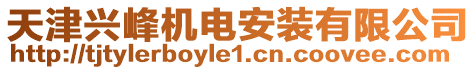 天津興峰機電安裝有限公司