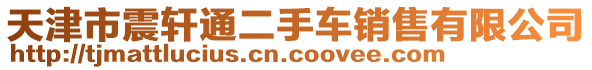 天津市震軒通二手車銷售有限公司