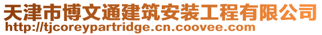 天津市博文通建筑安裝工程有限公司