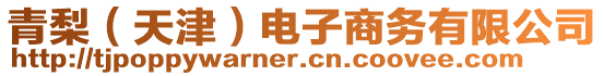 青梨（天津）電子商務(wù)有限公司