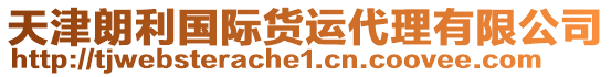 天津朗利國(guó)際貨運(yùn)代理有限公司