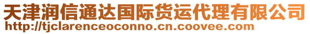 天津潤信通達國際貨運代理有限公司