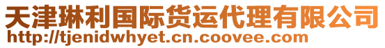 天津琳利國(guó)際貨運(yùn)代理有限公司