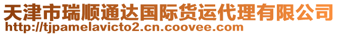 天津市瑞順通達(dá)國(guó)際貨運(yùn)代理有限公司