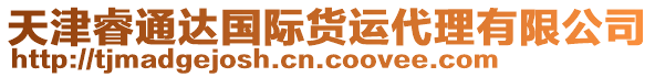 天津睿通達國際貨運代理有限公司