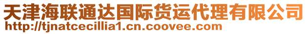 天津海聯(lián)通達(dá)國際貨運(yùn)代理有限公司