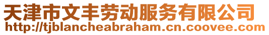 天津市文豐勞動服務(wù)有限公司