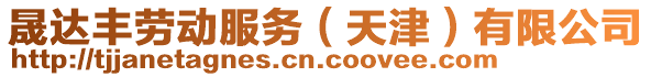 晟達豐勞動服務（天津）有限公司