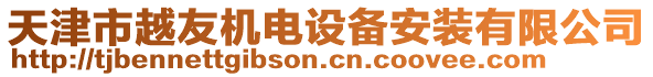 天津市越友機(jī)電設(shè)備安裝有限公司