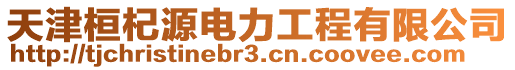 天津桓杞源電力工程有限公司