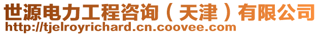 世源電力工程咨詢（天津）有限公司