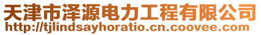 天津市澤源電力工程有限公司