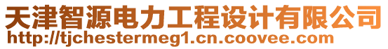 天津智源電力工程設計有限公司