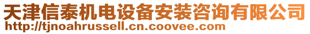 天津信泰機電設備安裝咨詢有限公司