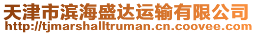 天津市濱海盛達運輸有限公司