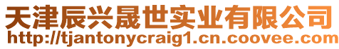 天津辰興晟世實業有限公司