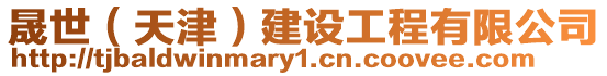 晟世(天津)建設工程有限公司