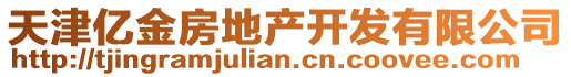 天津億金房地產開發有限公司