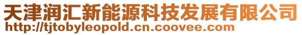 天津潤匯新能源科技發展有限公司