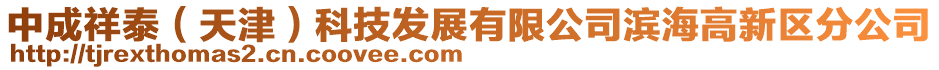 中成祥泰（天津）科技發展有限公司濱海高新區分公司