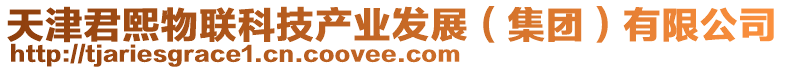 天津君熙物聯科技產業發展(集團)有限公司