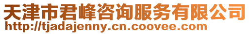 天津市君峰咨詢服務有限公司