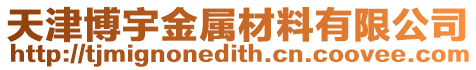 天津博宇金屬材料有限公司
