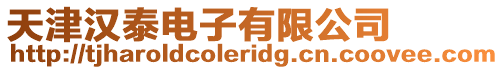 天津漢泰電子有限公司