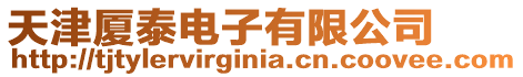天津廈泰電子有限公司