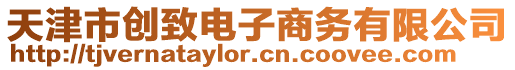 天津市創(chuàng)致電子商務(wù)有限公司