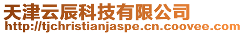 天津云辰科技有限公司