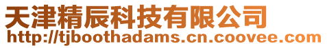 天津精辰科技有限公司