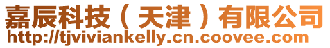 嘉辰科技(天津)有限公司