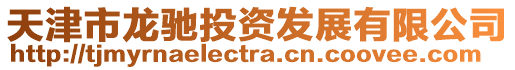 天津市龍馳投資發展有限公司