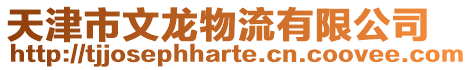 天津市文龍物流有限公司