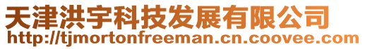 天津洪宇科技發展有限公司