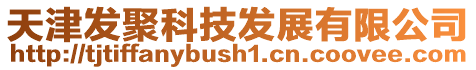 天津發聚科技發展有限公司