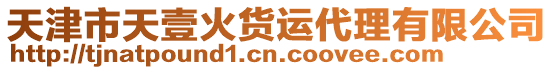 天津市天壹火貨運代理有限公司
