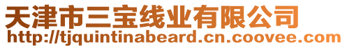 天津市三寶線業有限公司