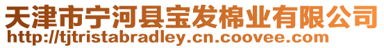 天津市寧河縣寶發(fā)棉業(yè)有限公司