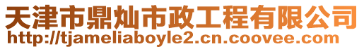 天津市鼎燦市政工程有限公司