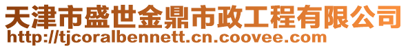 天津市盛世金鼎市政工程有限公司