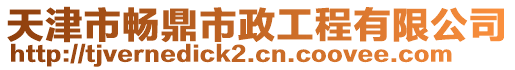 天津市暢鼎市政工程有限公司